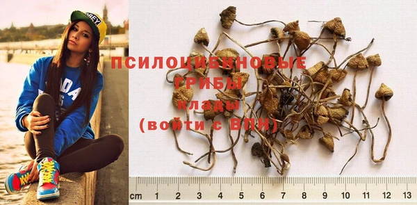 спиды Баксан