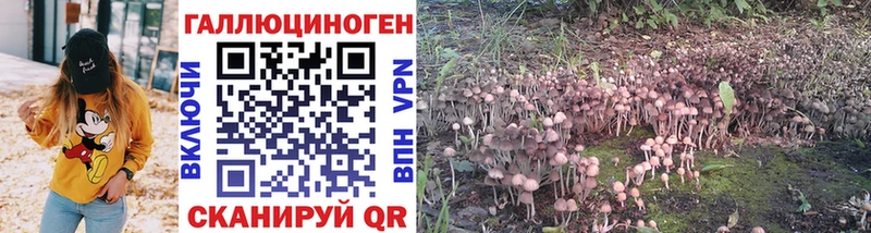 ссылка на мегу ONION  Озёры  Псилоцибиновые грибы Psilocybine cubensis 