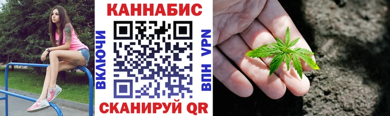 закладки  Озёры  Канабис SATIVA & INDICA 